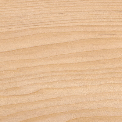 Odermatt Holzprofile Holzarten Hemlock