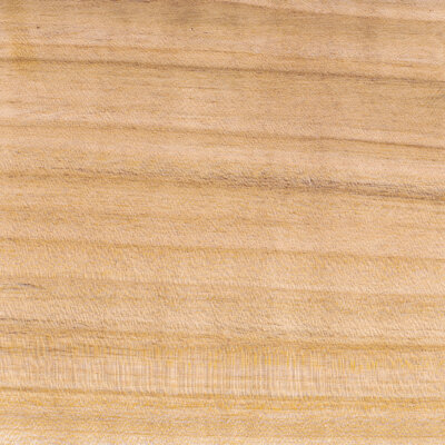 Odermatt Holzprofile Holzarten Kirschbaum europaeisch