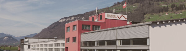 Odermatt Holzprofile Unternehmen Banner